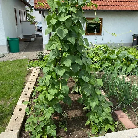 Apartment Eibenweg Gebsattel