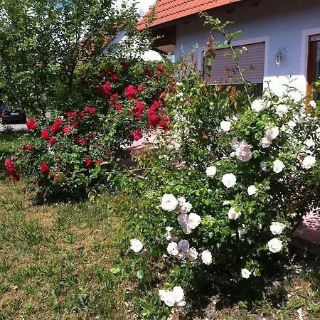 Eibenweg Apartament *